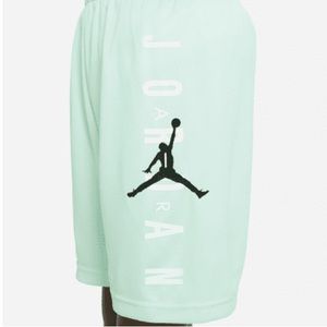 Air Jordan Bos Shorts